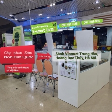 GIAN HÀNG CÂY NHÂN SÂM NON TẠI VINMART TRUNG HÒA
