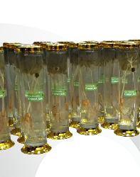 Rượu cây Nhân Sâm non