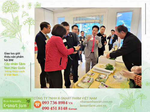 TRIỂN LÀM CÂY SÂM NON TẠI HIỆP HỘI BNI