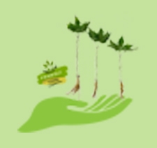 An toàn không hóa chất