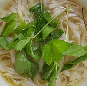 Món ăn Từ Sâm Non